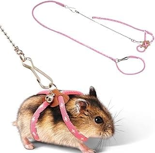 Ensemble harnais et laisse pour hamster et petit hamster avec clochette pour oiseau, perroquet, souris, hamster