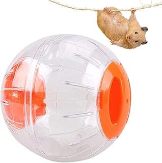 Hamster Exercice Ball, Transparent Boule D'exercice pour Hamster, Ball de Hamster, Plastique Hamster Jouet Roulant, Mini Plastique Jouets, 4.7 Pouces Hamster Mini-Balle, Plastique Hamster Fitness Ball