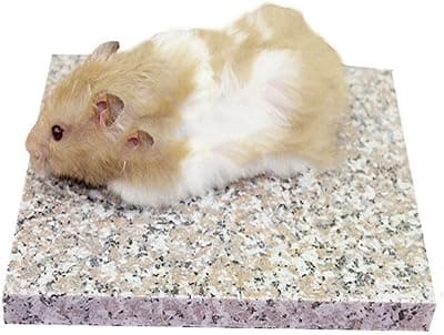 Emours Hamster Chiller Cool Granite Stone Small Animal Supplies 3.5" x 3.5"