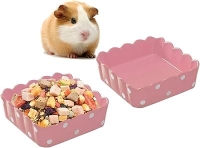 Acsist Hamster Food Bowl Guinea Pig Water Bowl Food Dish Small Animal Feeding Bowls Prevent Tipping Moving for Bunny Syrian Hamster Hedgehog Sugar Glider(2 Pack,Pink)