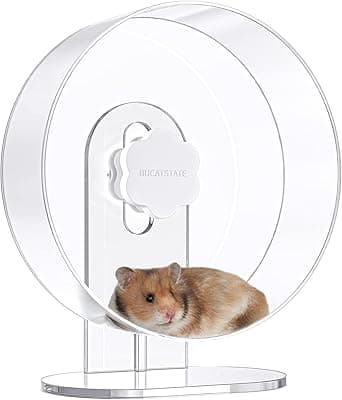 BUCATSTATE Rueda para Hámsters, 30cm Transparente Rueda Hamster Silenciosa, Rueda de Ejercicio para Mascotas para Erizo, Hurón, Chinchilla, Cobayos