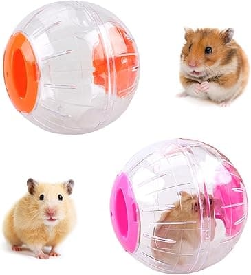 2 Piezas Pelota de Hámster, Bola de Ejercicio de Hámster, Bola Hámster Juguete, Pelota de Fitness Hamster, Pelota de Ejercicio de Hámster Transparente, para Animales Pequeños de Hámster(4.7Pulgadas)