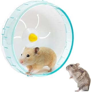 Klsoale Roue d'exercice pour Hamster, Accessoire De Cage De Hamster De Jouet d'exercice De Jogging, Ballon De Course D'EntraîNement De Hamster Transparen（Bleu）