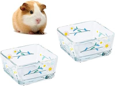 Acsist Hamster Food Bowl Small Animals Glass Water Bowl Food Dish Feeding Bowls for Guinea Pigs Gerbil Mouse Rat Chinchilla Hedgehog Sugar Glider(2 Pack,White Daisy)