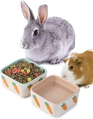 JanYoo Hamster Food Bowl Guinea Pig Feeder Ceramic for Cage with Water Supplies and Accessories for Bunny Blue Pink (2 Pack)