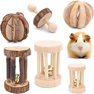 Winterworm Lot de 6 jouets à mâcher en bois pour hamster, souris, chinchillas, lapin, gerbille, cochon d'Inde