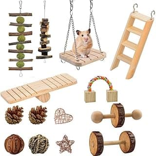 SANMONK Jouets à Mâcher pour Hamster, 14 pièces Naturel Pinoche Naturel Coin Dentaire Molaire Diase Jouets Dumbbell Girl Rolle pour Hamster, Écureuil, Pig De Lapin Rat Chinchilla