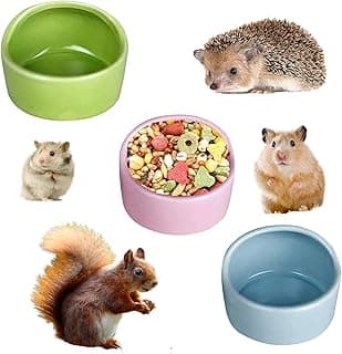 3 Pièces Mangeoire à Hamster en céramique Bols pour Hamster en Céramique Bols en Céramique pour Hamster pour Cochon d'Inde Hamster Chinchilla Animaux de Compagnie