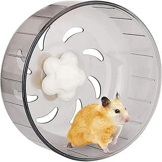 Roue d'exercice pour Hamster - Roue de Course silencieuse de 13 cm Belle Roue d'exercice de Course pour Hamster pour Hamsters, gerbilles, Souris et Autres Petits Animaux de Compagnie