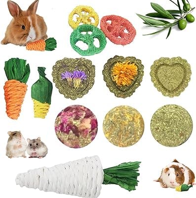 Lacrima Rabbit Chew Toys 12PCS, Bunny Toys for Rabbits, Guinea Pig Toys, Hamster Toys, Rabbit Toys, Small Animal Chew Toys, Treats for Rabbit Bunny Chinchilla Guinea Pig Hamster, Bunny Teeth Care