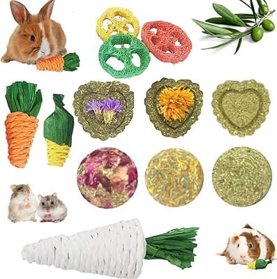 Lacrima Rabbit Chew Toys 12PCS, Bunny Toys for Rabbits, Guinea Pig Toys, Hamster Toys, Rabbit Toys, Small Animal Chew Toys, Treats for Rabbit Bunny Chinchilla Guinea Pig Hamster, Bunny Teeth Care