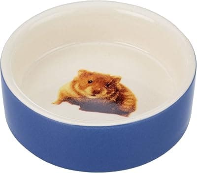 Nobby the Hamster Ceramic Bowl, 7.5 cm (Diameter) x 2.5 cm, Blue