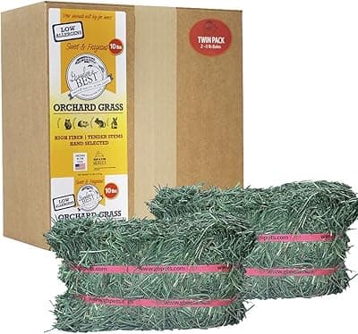 Grandpa's Best Orchard Grass Bale for Rabbits, Guinea Pigs, Chinchillas, Hamsters & Gerbils, 10 Lbs (Packaging may vary)