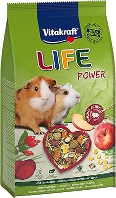 Vitakraft Life Power Main Food for Guinea Pigs, with Apple, with Beetroot, with Beta Glucans, Strengthens the Defences, Supports Abrasion of Renewable Rodent Teeth, No Sugar (1 x 600 g)