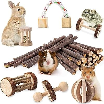 JanYoo Hamster Toy, 7-Piece Guinea Pig Toy Made of Wood, Apple Wood Slat Ball Set, Dumbbells for Rabbits, Mouse, Chinchillas, Small Animals