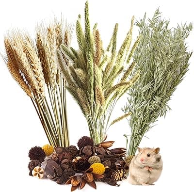 NICERINC PET Natural Ear of Grain Flower&Herb Bedding Mate Habitat Decor, Adding Fun Hamster Accessories for Hamsters Gerbils Lemming