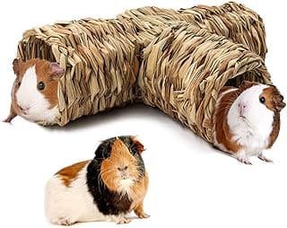 RANYPET Tunnel de Jeu pour Hamster Cachette d'herbe Tissée Naturellement Séchée pour Petit Animal, Hamster, Cochon d'Inde, Furet, Chinchilla, Hérisson