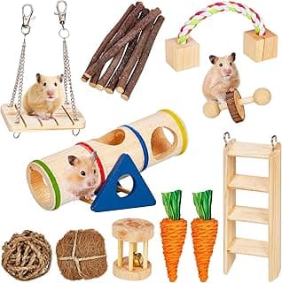 SONNIG 11 PCS Jouet Hamster, Accessoires Naturels pour Hamster Petit Animal Jouet pour Soins Dentaires et Exercice, Jouet Cochon d'Inde, Jouet Gerbille, Jouet Rat et Accessoires de Cage